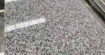渭南 芙蓉白光面
