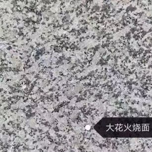 渭南 芙蓉白（芝麻白大花）火烧面