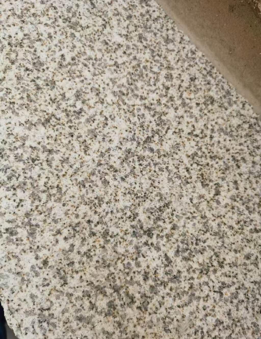 渭南 黄金麻中黄光面