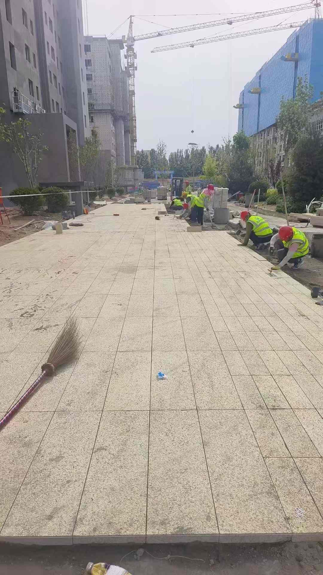 渭南黄金麻荔枝面地铺案例