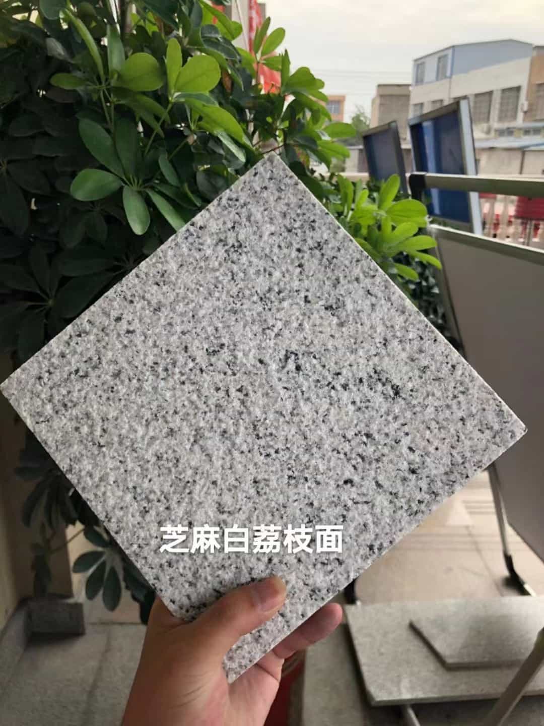 渭南 芝麻白荔枝面干挂