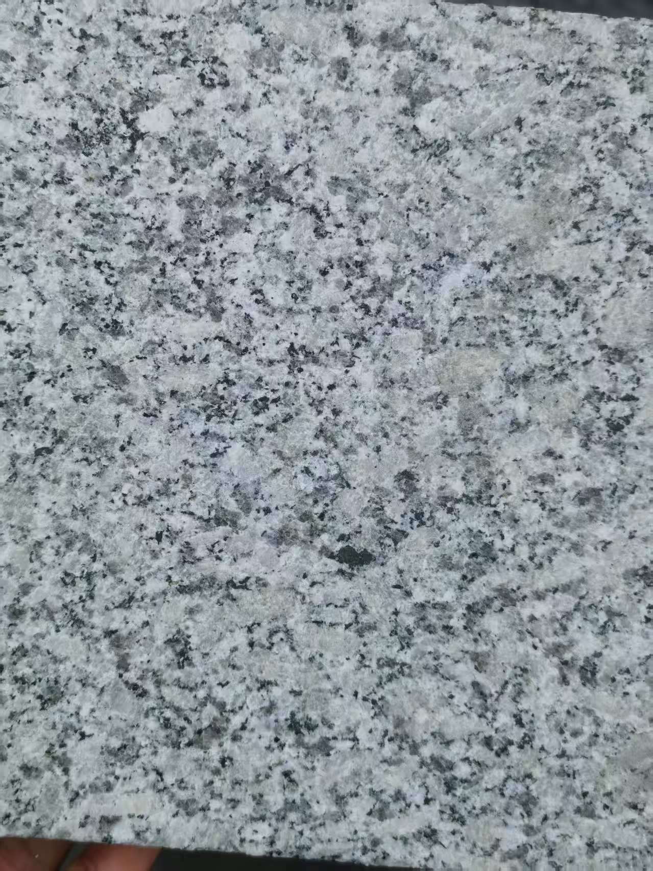 渭南 芙蓉白火烧面