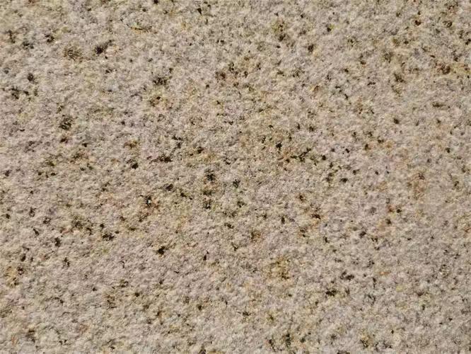 渭南黄锈石荔枝面